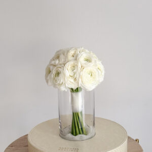 Ranunculus Elegance
