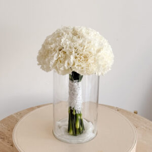 Carnation