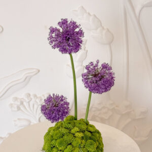 Emerald Allium