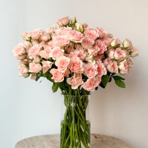 Blush Rose Elegance